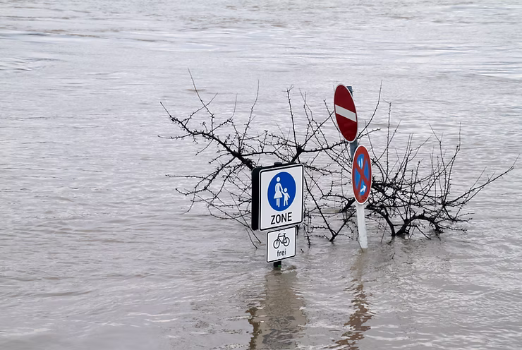 Navigating Mental Health During Natural Disasters