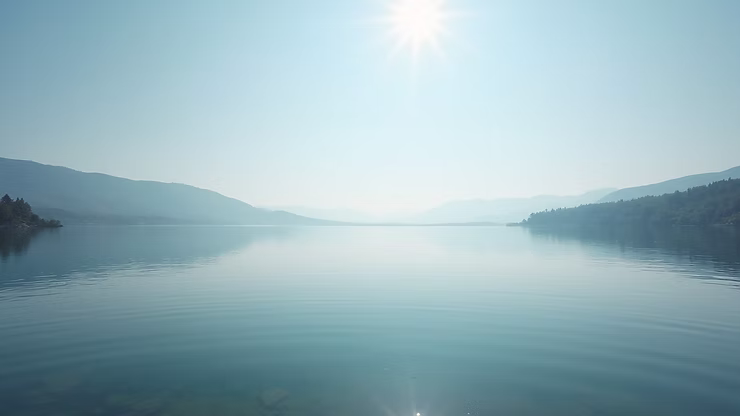 Dialectical Behavior Therapy Explained