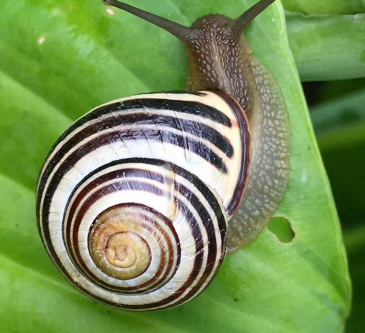 The Perils of Inaction: Understanding Its Negative Impacts and Why We Fall Prey to It